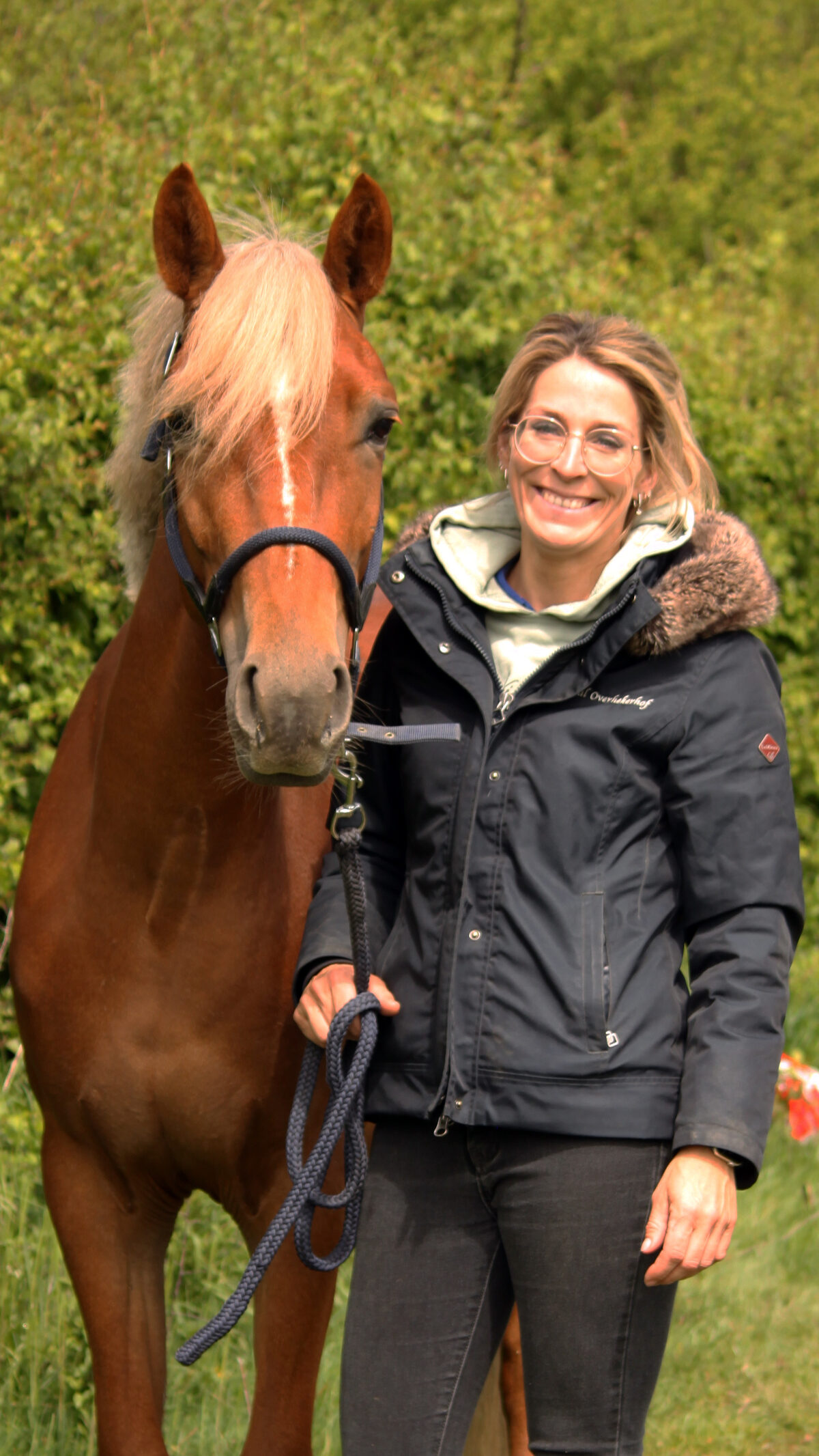 Stal Overhekerhof — onze pony’s en mensen